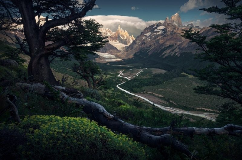 Max Rive — Green Paradise Tutorial