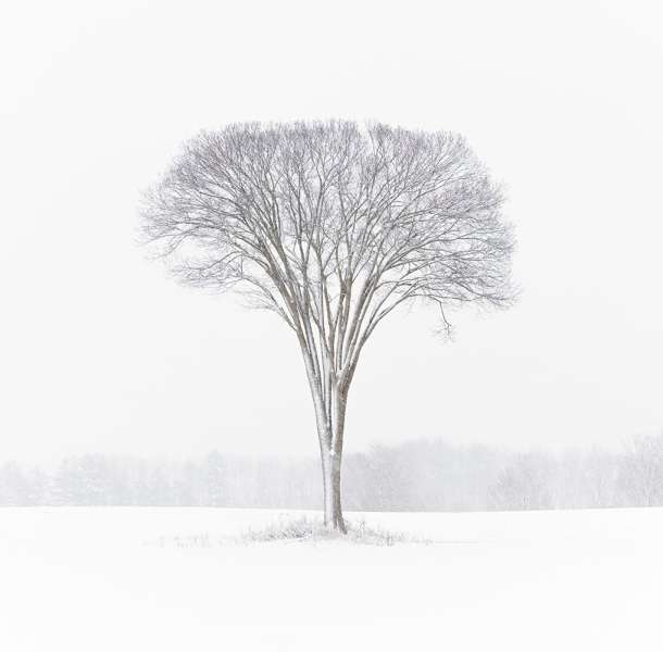 Лучшие пейзажи года: 19 победителей фотопремии Landscape Photographer of the Year 2024