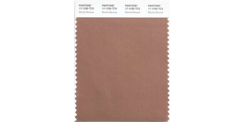 Оттенком года по версии Pantone стал элегантный шоколадный Mocha Mousse